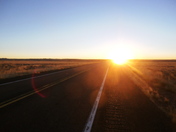 Petrified Forest AZ.