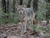 Yosemite National Park
