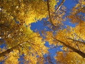 Grand Canyon National Park