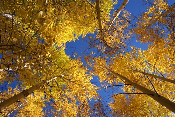 Grand Canyon National Park