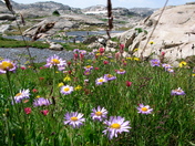 Shoshone National Forest