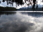 Tongass National Forrest