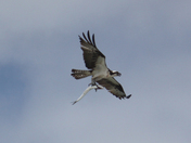 Fort Pickens, Florida