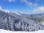 Carson National Forest