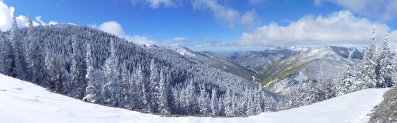 Carson National Forest