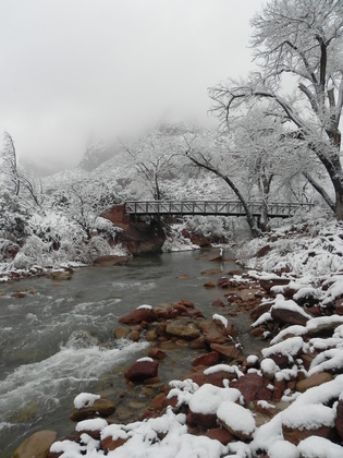 Zion National Park