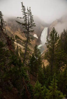 Yellowstone