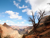 Grand Canyon National Park