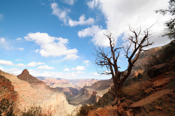 Grand Canyon National Park