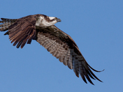 Arapahoe National Recreation Area