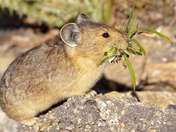 Rocky Mountain NationalPark
