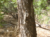 Montezuma Castle National Monument