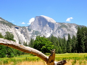 Yosemite National Park