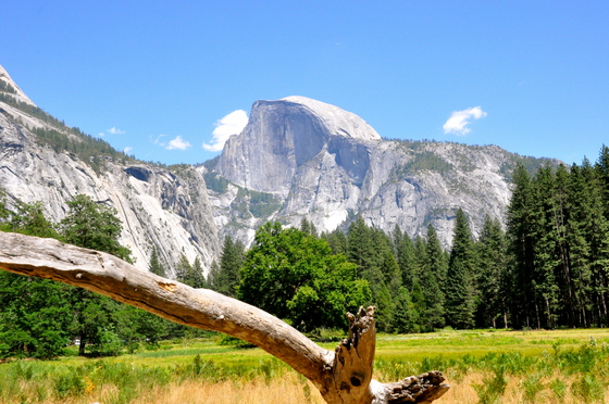 Yosemite National Park