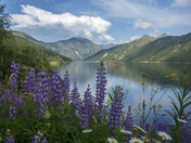 Mt. St. Helens National Volcanic Monument