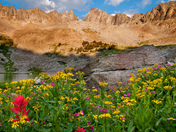Gallatin National Forest