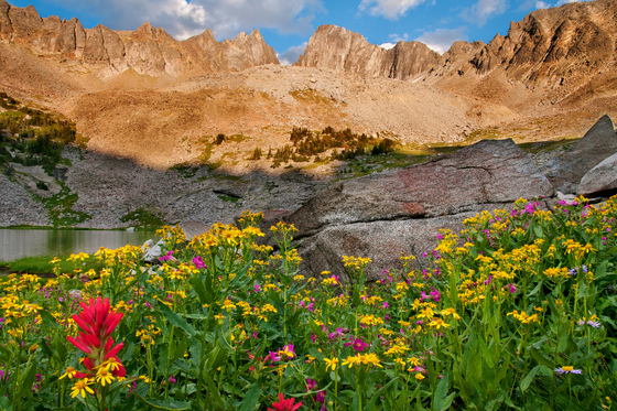 Gallatin National Forest