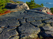 Acadia National Park