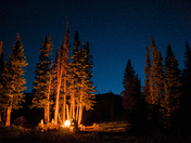 Gallatin National Forest