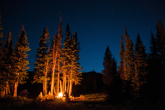 Gallatin National Forest