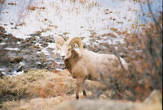 Rocky Mountain National Park