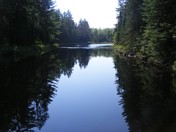 Superior National Forest