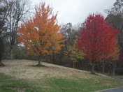 Shenandoah National park