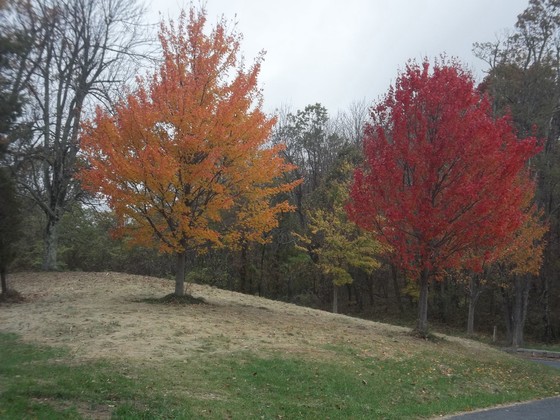Shenandoah National park