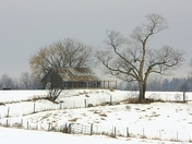 Old Homestead