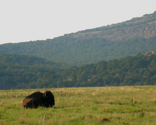 Wichita Mountains Wildlife Refuge