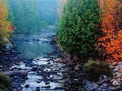 Fall on the creek