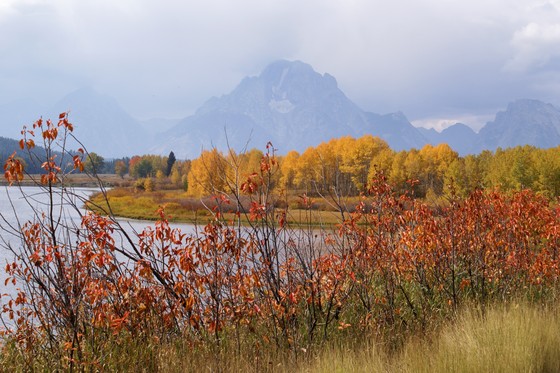 Grand Teton National Park