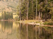 Grand Teton National Park