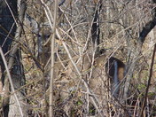 Shenandoah National Park