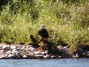 Grand Teton National Park