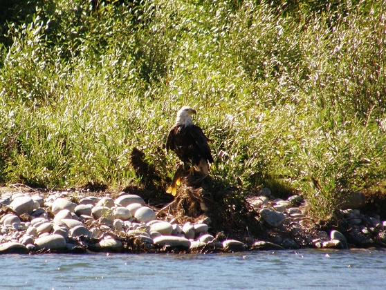 Grand Teton National Park