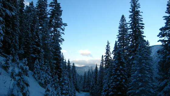Gallatin National Forest