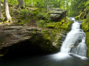 White Mountain National Forest