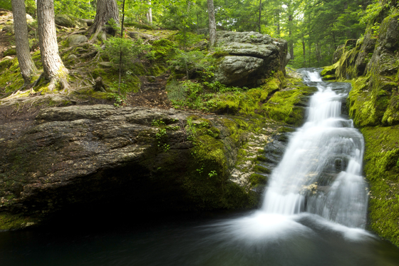 White Mountain National Forest