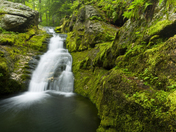White Mountain National Forest