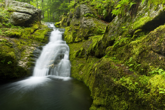 White Mountain National Forest