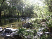 West Clear Creek/Coconino National Forest