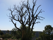 Grand Canyon National Park