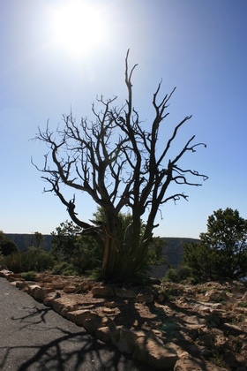 Grand Canyon National Park