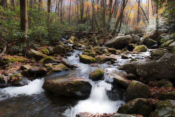 Great Smoky Mountains