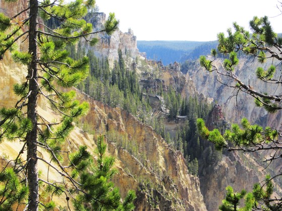 Yellowstone National Park