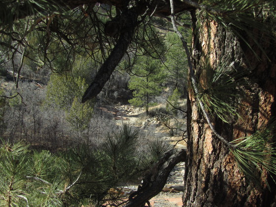 Zions National Park