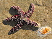 Point Reyes National Seashore