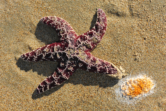 Point Reyes National Seashore