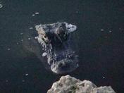 Everglades National Park